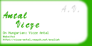 antal vicze business card